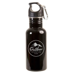 17oz Stainless Steel Adventure Water Bottle With Carabiner